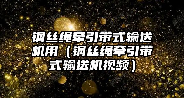 鋼絲繩牽引帶式輸送機用（鋼絲繩牽引帶式輸送機視頻）