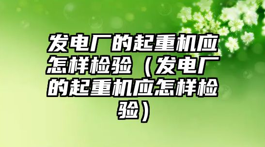 發(fā)電廠的起重機應怎樣檢驗（發(fā)電廠的起重機應怎樣檢驗）