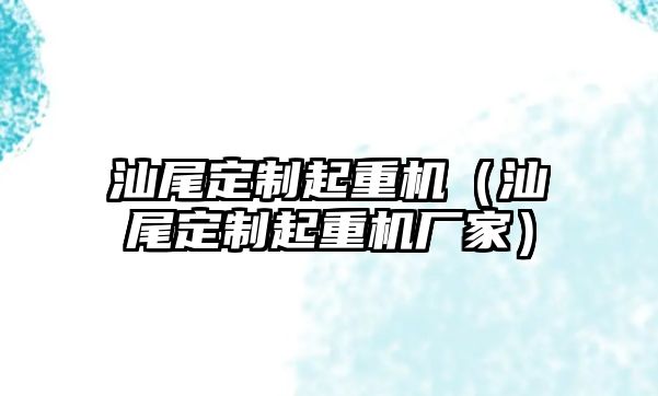 汕尾定制起重機(jī)（汕尾定制起重機(jī)廠家）