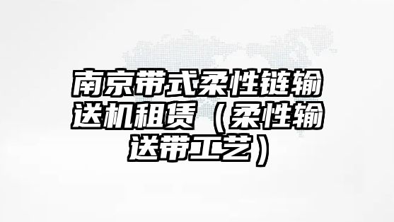 南京帶式柔性鏈輸送機(jī)租賃（柔性輸送帶工藝）