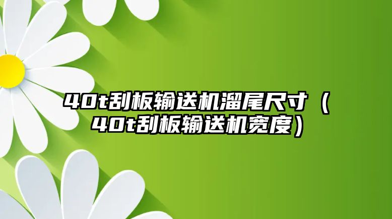 40t刮板輸送機(jī)溜尾尺寸（40t刮板輸送機(jī)寬度）