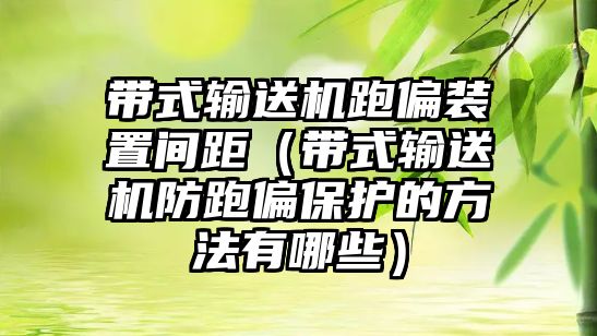 帶式輸送機跑偏裝置間距（帶式輸送機防跑偏保護的方法有哪些）