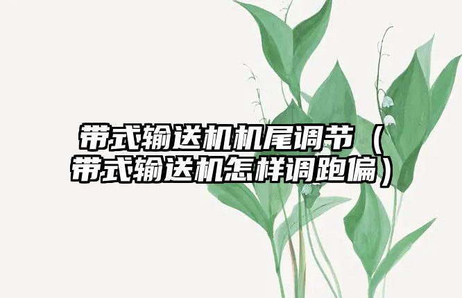 帶式輸送機機尾調(diào)節(jié)（帶式輸送機怎樣調(diào)跑偏）