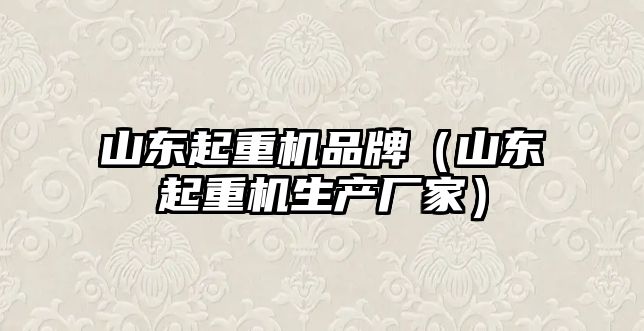 山東起重機品牌（山東起重機生產(chǎn)廠家）