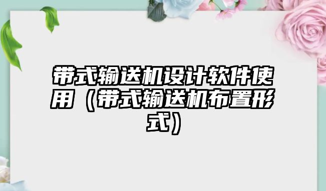 帶式輸送機設(shè)計軟件使用（帶式輸送機布置形式）