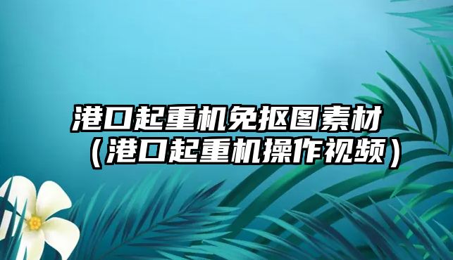 港口起重機免摳圖素材（港口起重機操作視頻）