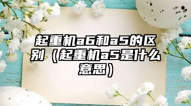 起重機(jī)a6和a5的區(qū)別（起重機(jī)a5是什么意思）