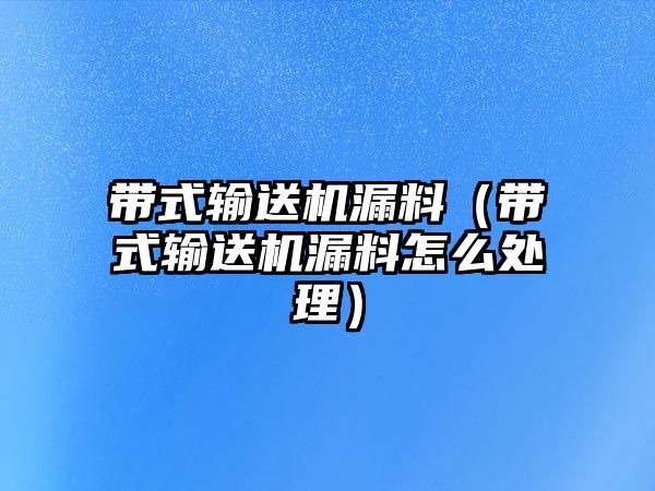 帶式輸送機漏料（帶式輸送機漏料怎么處理）