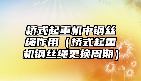 橋式起重機中鋼絲繩作用（橋式起重機鋼絲繩更換周期）