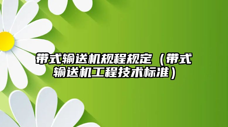 帶式輸送機規(guī)程規(guī)定（帶式輸送機工程技術(shù)標(biāo)準(zhǔn)）