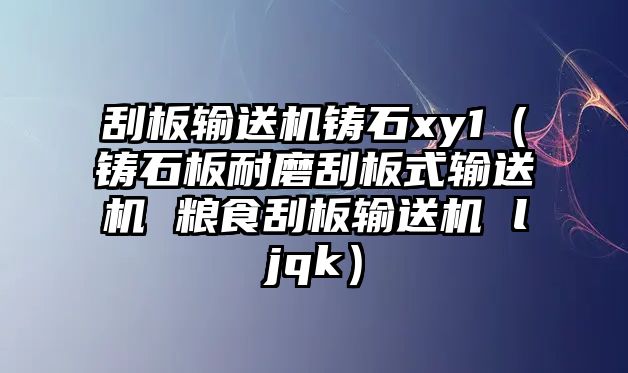 刮板輸送機(jī)鑄石xy1（鑄石板耐磨刮板式輸送機(jī) 糧食刮板輸送機(jī) ljqk）