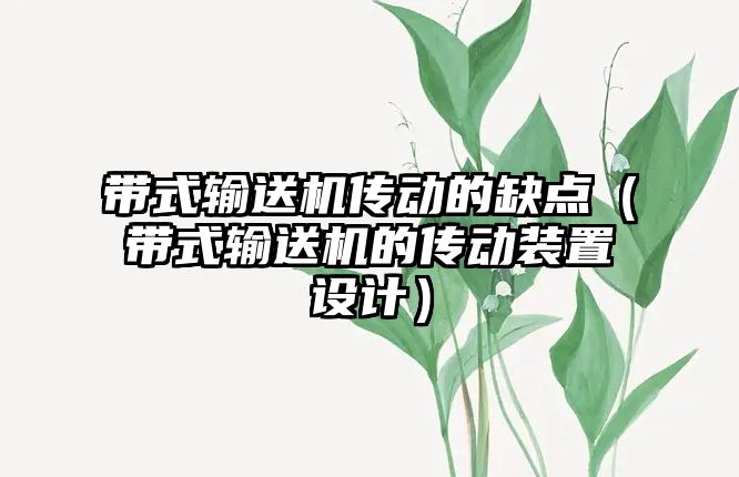 帶式輸送機傳動的缺點（帶式輸送機的傳動裝置設(shè)計）