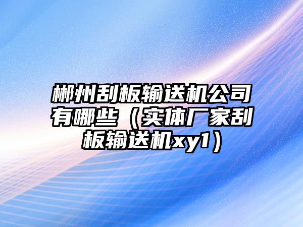 郴州刮板輸送機(jī)公司有哪些（實(shí)體廠家刮板輸送機(jī)xy1）