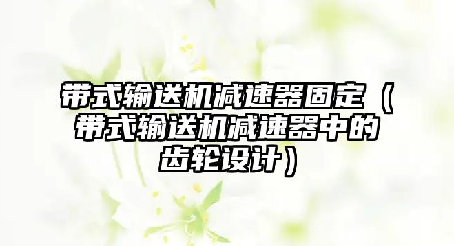 帶式輸送機(jī)減速器固定（帶式輸送機(jī)減速器中的齒輪設(shè)計(jì)）