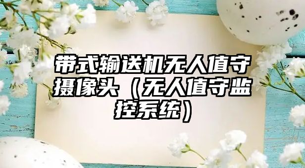 帶式輸送機(jī)無人值守?cái)z像頭（無人值守監(jiān)控系統(tǒng)）