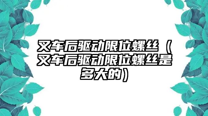 叉車后驅動限位螺絲（叉車后驅動限位螺絲是多大的）