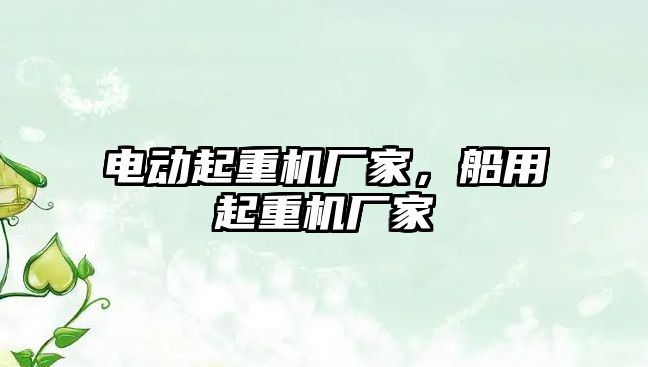 電動起重機廠家，船用起重機廠家