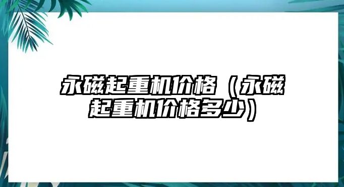 永磁起重機價格（永磁起重機價格多少）