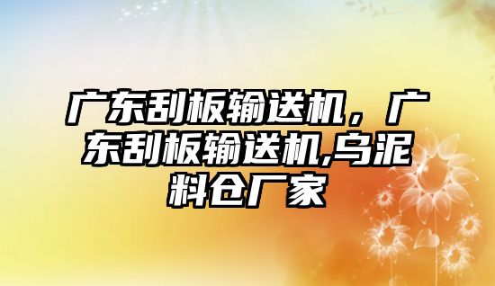 廣東刮板輸送機(jī)，廣東刮板輸送機(jī),烏泥料倉(cāng)廠家