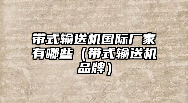 帶式輸送機國際廠家有哪些（帶式輸送機品牌）