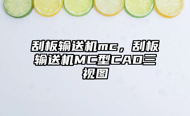 刮板輸送機mc，刮板輸送機MC型CAD三視圖