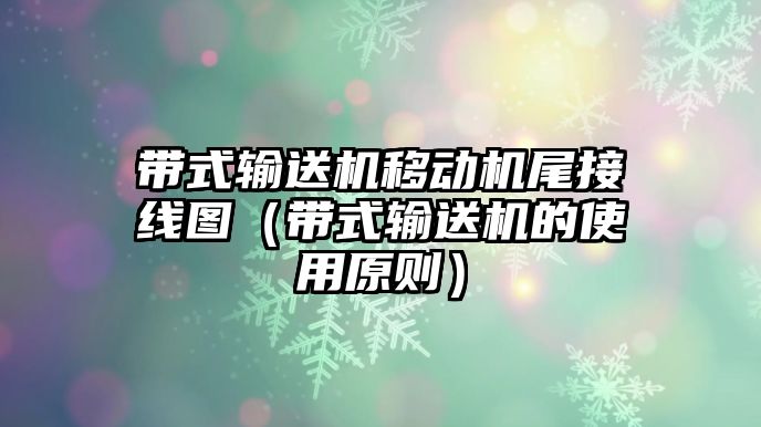 帶式輸送機移動機尾接線圖（帶式輸送機的使用原則）