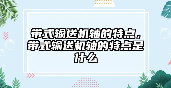 帶式輸送機軸的特點，帶式輸送機軸的特點是什么