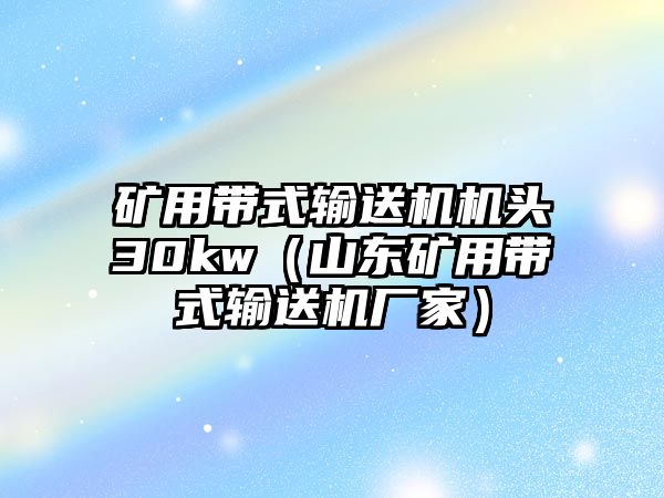 礦用帶式輸送機(jī)機(jī)頭30kw（山東礦用帶式輸送機(jī)廠家）