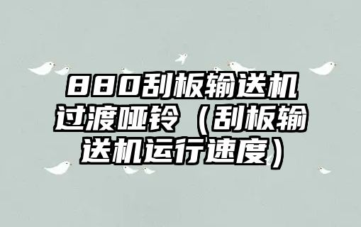 880刮板輸送機(jī)過渡啞鈴（刮板輸送機(jī)運(yùn)行速度）