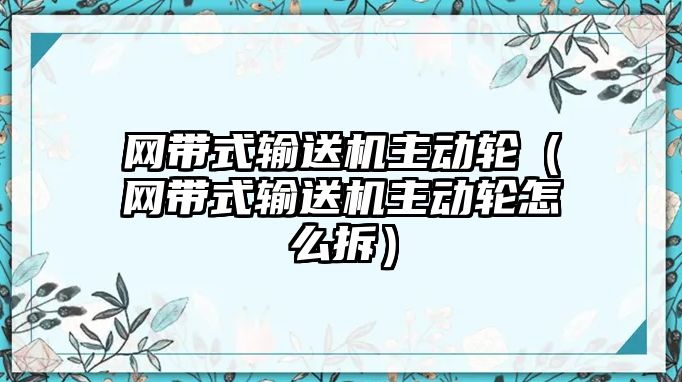 網(wǎng)帶式輸送機(jī)主動輪（網(wǎng)帶式輸送機(jī)主動輪怎么拆）