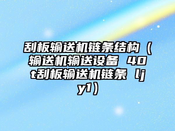 刮板輸送機鏈條結構（輸送機輸送設備 40t刮板輸送機鏈條 ljy1）