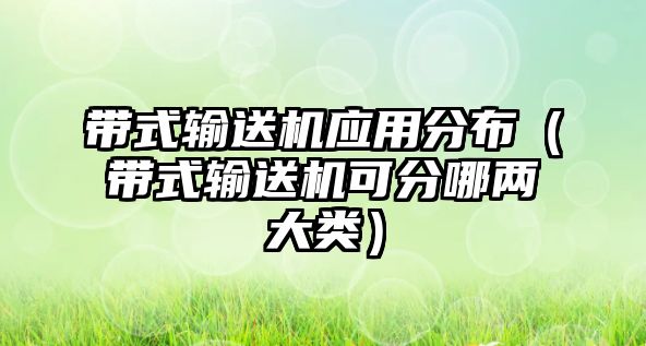 帶式輸送機應(yīng)用分布（帶式輸送機可分哪兩大類）