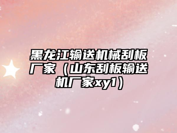 黑龍江輸送機械刮板廠家（山東刮板輸送機廠家xy1）