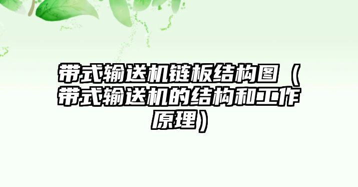 帶式輸送機(jī)鏈板結(jié)構(gòu)圖（帶式輸送機(jī)的結(jié)構(gòu)和工作原理）