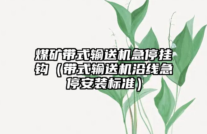 煤礦帶式輸送機急停掛鉤（帶式輸送機沿線急停安裝標準）