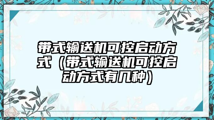 帶式輸送機(jī)可控啟動方式（帶式輸送機(jī)可控啟動方式有幾種）