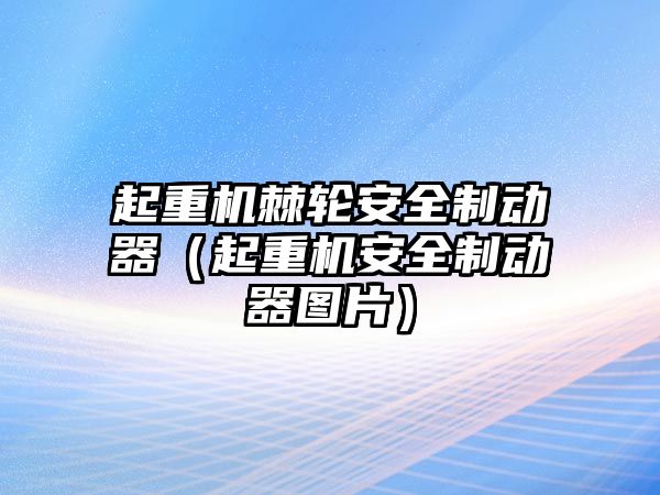 起重機棘輪安全制動器（起重機安全制動器圖片）