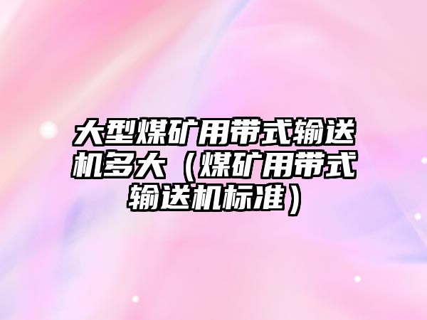 大型煤礦用帶式輸送機多大（煤礦用帶式輸送機標準）