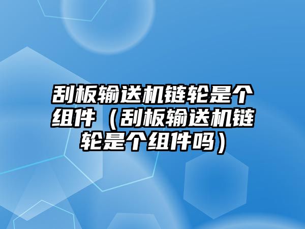 刮板輸送機(jī)鏈輪是個(gè)組件（刮板輸送機(jī)鏈輪是個(gè)組件嗎）