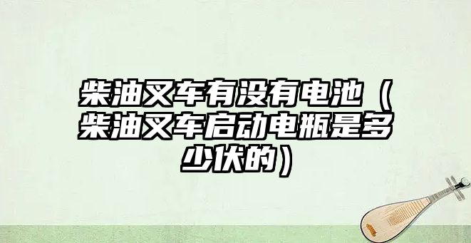 柴油叉車有沒有電池（柴油叉車啟動電瓶是多少伏的）