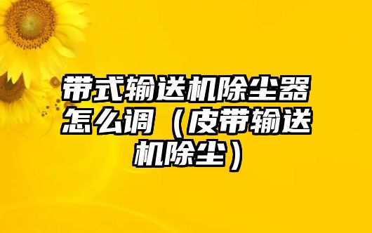 帶式輸送機(jī)除塵器怎么調(diào)（皮帶輸送機(jī)除塵）