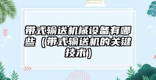 帶式輸送機械設備有哪些（帶式輸送機的關鍵技術）