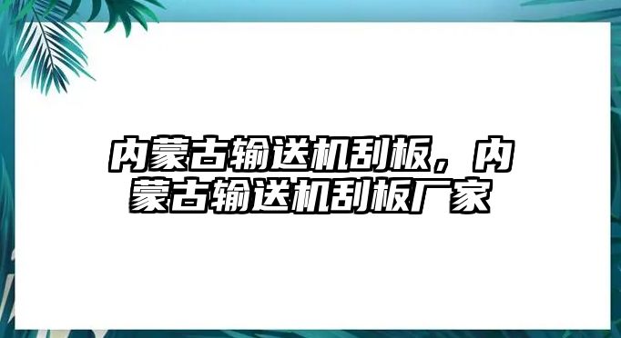 內(nèi)蒙古輸送機刮板，內(nèi)蒙古輸送機刮板廠家