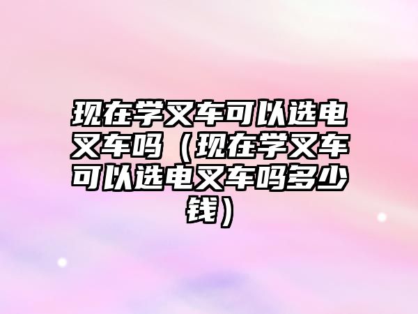 現(xiàn)在學叉車可以選電叉車嗎（現(xiàn)在學叉車可以選電叉車嗎多少錢）