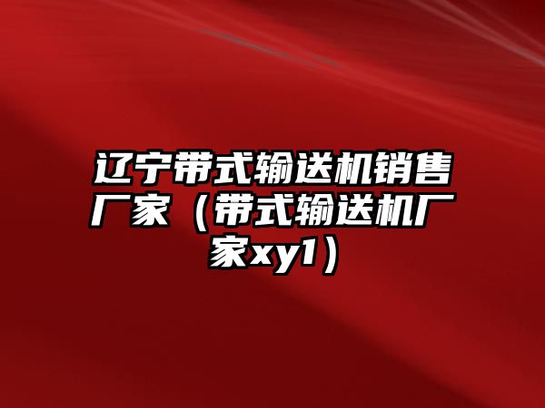 遼寧帶式輸送機(jī)銷售廠家（帶式輸送機(jī)廠家xy1）