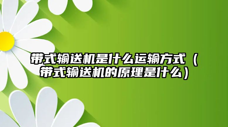 帶式輸送機(jī)是什么運(yùn)輸方式（帶式輸送機(jī)的原理是什么）