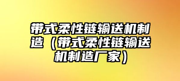 帶式柔性鏈輸送機制造（帶式柔性鏈輸送機制造廠家）