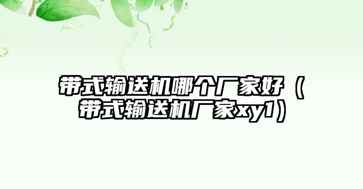 帶式輸送機哪個廠家好（帶式輸送機廠家xy1）