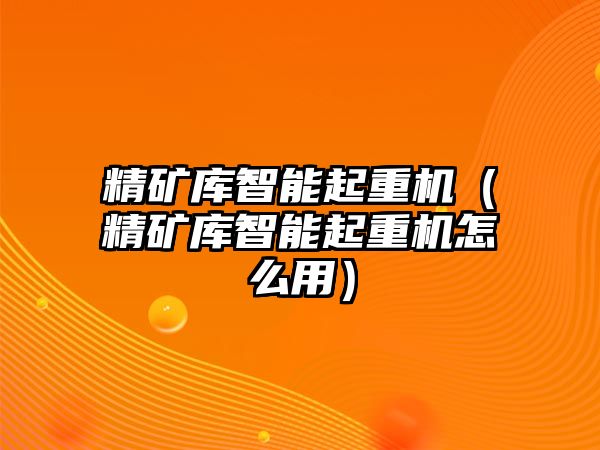 精礦庫智能起重機（精礦庫智能起重機怎么用）