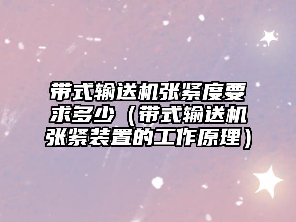 帶式輸送機張緊度要求多少（帶式輸送機張緊裝置的工作原理）